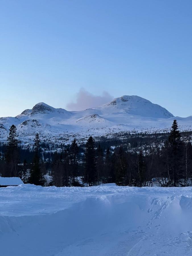 Brand New Cabin On The Sunny Side Of Gaustatoppen With A Great View Tuddal Zewnętrze zdjęcie