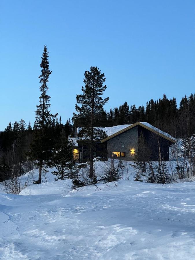 Brand New Cabin On The Sunny Side Of Gaustatoppen With A Great View Tuddal Zewnętrze zdjęcie