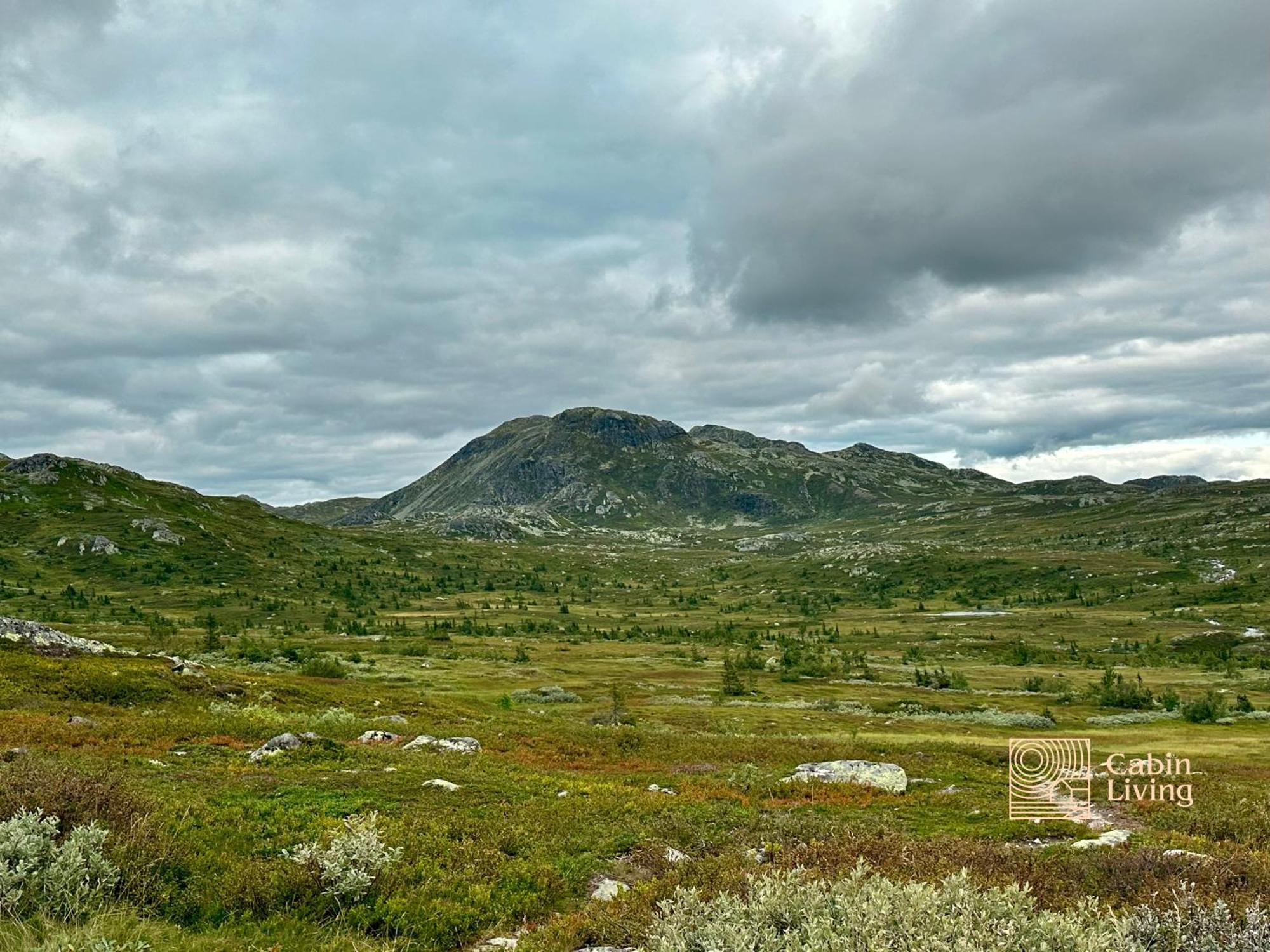 Brand New Cabin On The Sunny Side Of Gaustatoppen With A Great View Tuddal Zewnętrze zdjęcie