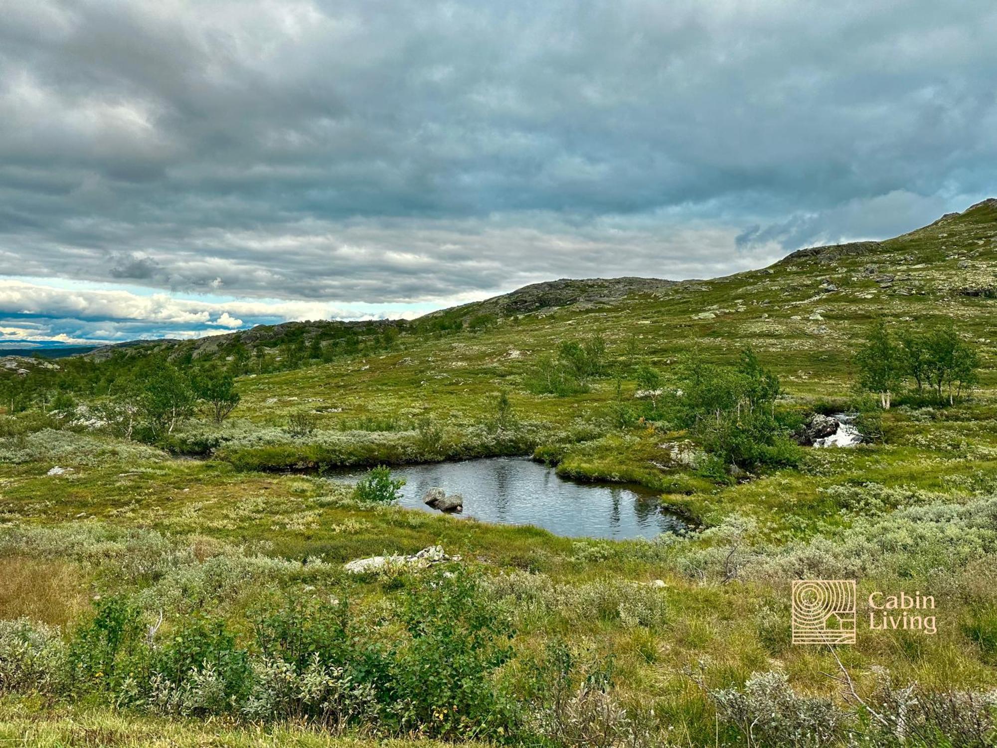 Brand New Cabin On The Sunny Side Of Gaustatoppen With A Great View Tuddal Zewnętrze zdjęcie